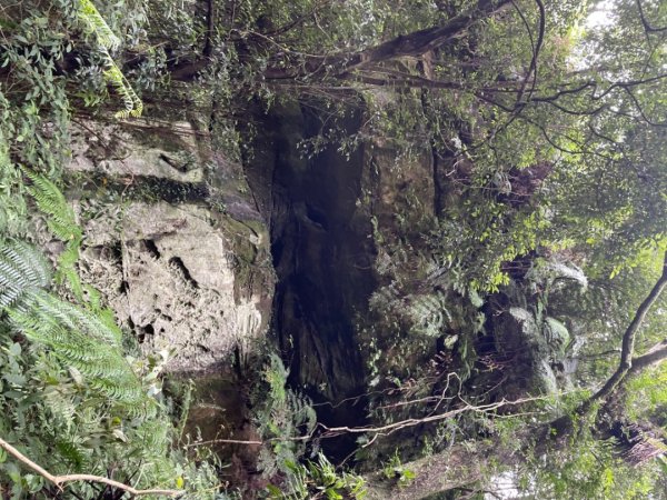 烏月山群峰--向天湖古道2515285