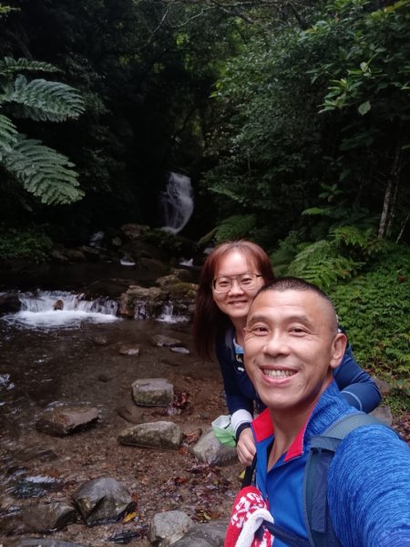 迷霧抹茶山1712747