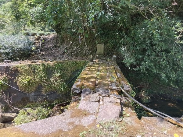 坪林區大舌湖漁光國小通學古道(保甲路古道)去回+大舌湖2844933