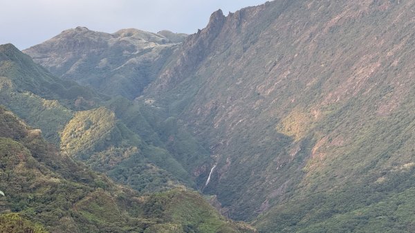 新北 瑞芳 黃金八稜七稜O型2956141