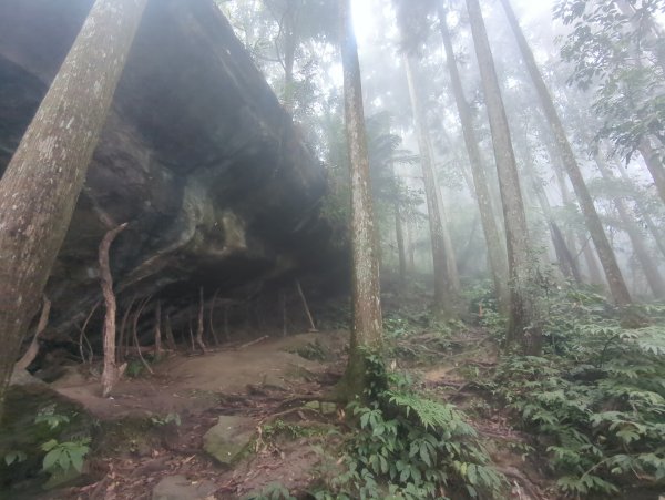 2026.03.28－向天湖步道3032065