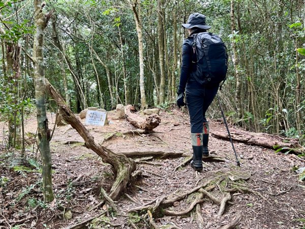 奮鬥在北插天山的路上2415266