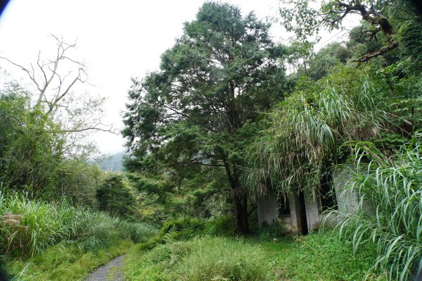 宜蘭 大同 加羅山2890262