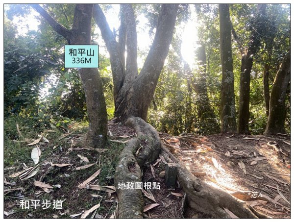 軍功寮山、大坑9、7、6、9-1步道 O型一圈2950807