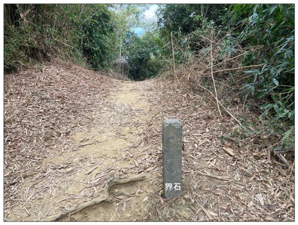 旗靈縱走(旗尾山、福美山、金字面山、人頭山、靈山)2996454