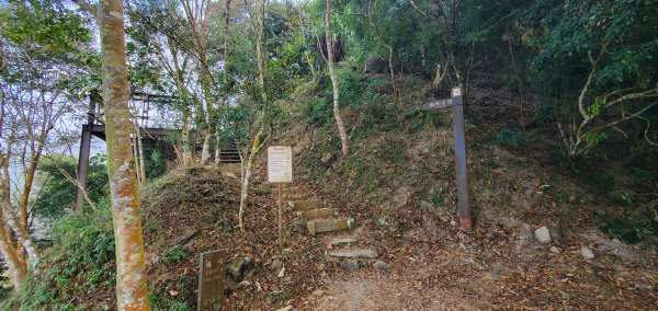 2023-12-02梅峰古道、獵鷹尖一線天步道、伍龍步道環行一圈2367074