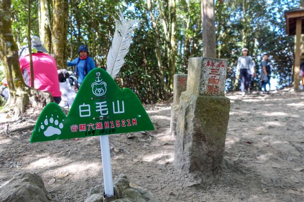 谷關老六 - 白毛山步道1130978