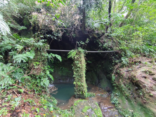 [新北平溪][一]青林山、畝畝山、盤山坑古道、火燒寮崙、高德坑山(上東勢格山)、高德坑山東南、玉桂嶺山、大湖、芊蓁坑、十分派出所