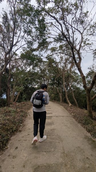 劍潭山親山步道2676460