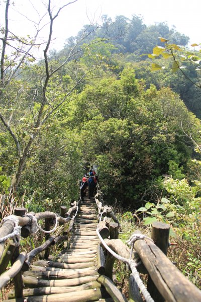 大坑四號頭嵙山封面