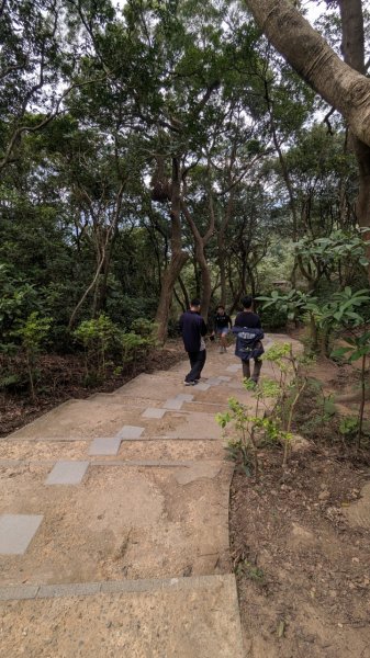 劍潭山親山步道2676463