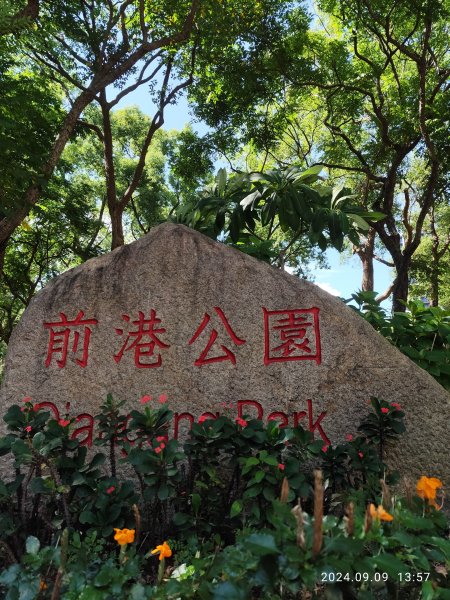 前港公園、大安森林公園、大港墘公園【走路趣尋寶】【臺北健走趣】2591706