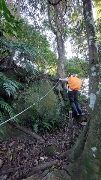 安坑五山縱走2784628