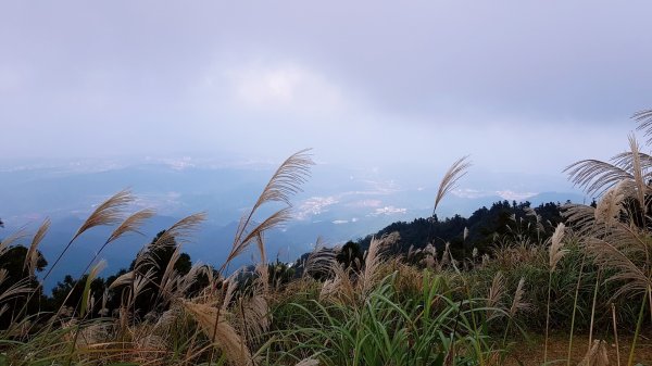 五分山步道738110