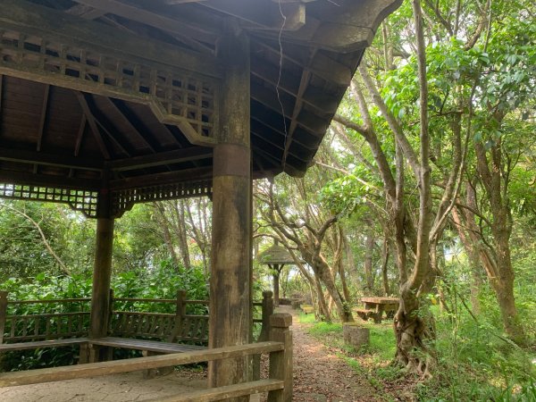 大崙頭尾山親山步道2767184