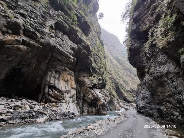 2025.02.08 限時秘境?菜市場? 北港溪峽谷步道2709056