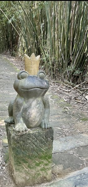 大崙頭山步道封面