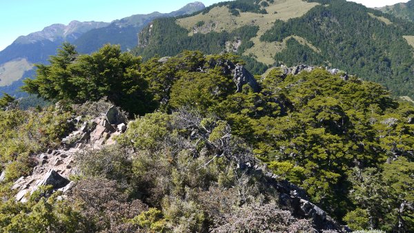 池有山單攻登山健行趣(百岳52)1515360