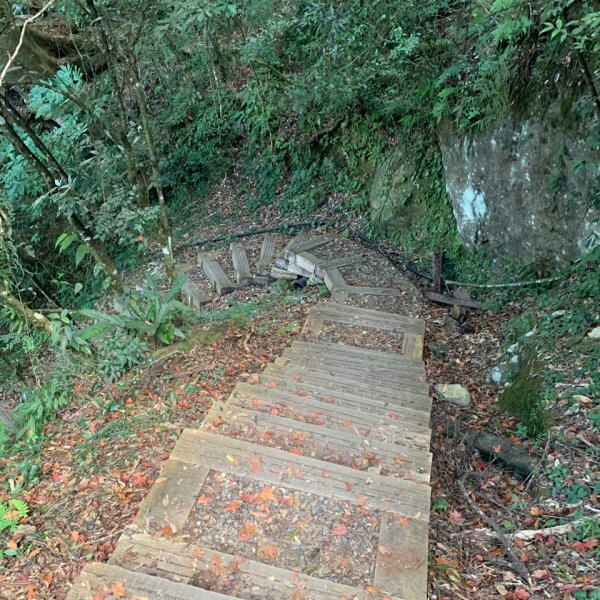 奮起湖大棟山1547914