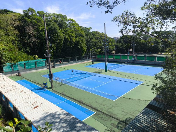 20250824鳶山彩壁2868552