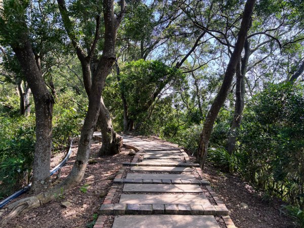 犁頭山、文山步道2835645