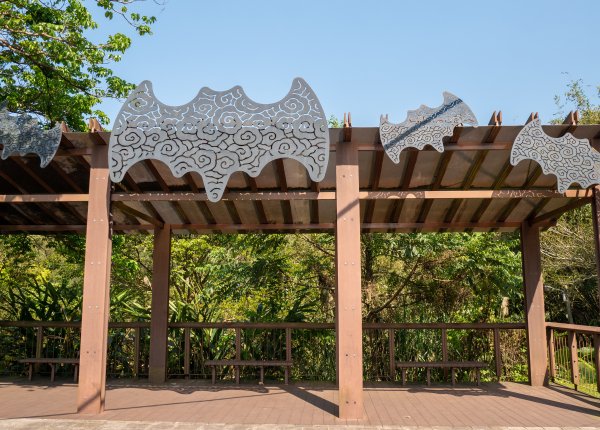 三民蝙輻洞2802474