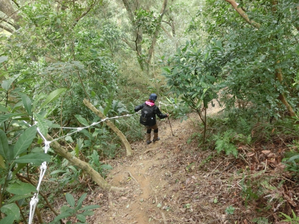 白鷺鷥山．康樂山．牛稠尾山96356