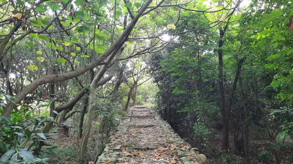 《彰化》果園古道｜廣天宮隴頂古道到鳳山寺O繞202509142884037