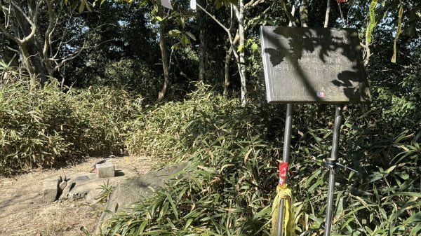 20260212 小百岳白雲山及西阿里關山3002913