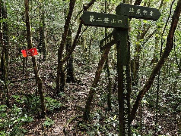 2025_0601 赫威山2802309