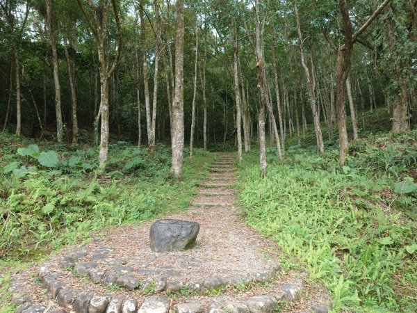 拳頭姆自然步道3007197