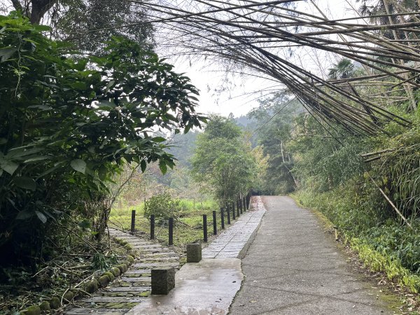 [嘉遊好步道．來嘉走走-04/10] 2024_1011 阿里山頂湖步道2624729