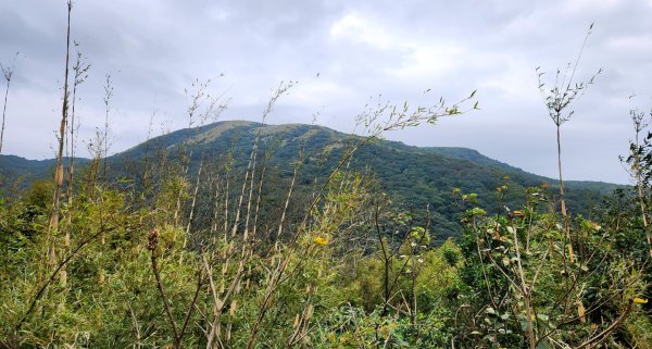 皇帝殿，獅公髻尾山，指南宮千階步道（竹柏參道），十六分山，貓空尖，絹絲瀑布步道2394549