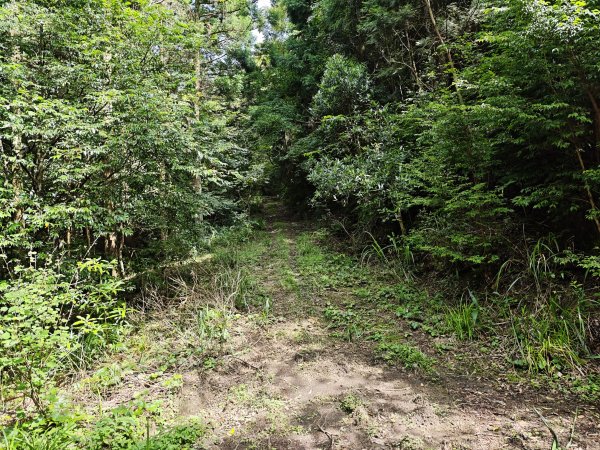 2025_0601 赫威山2802301