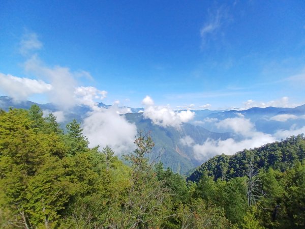 【台中和平】大雪山啞口觀景台步道