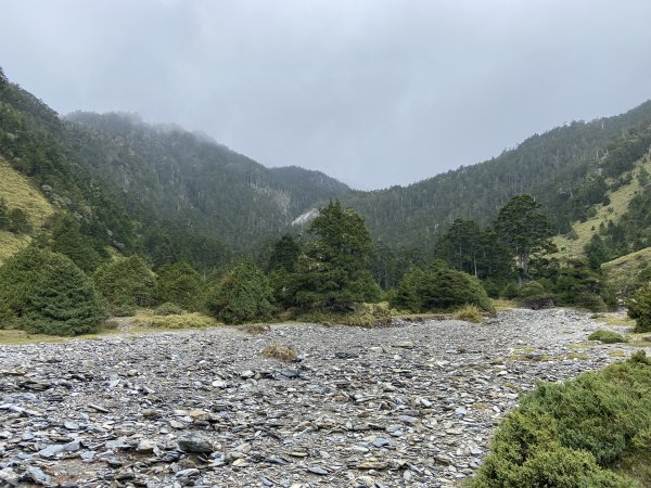 南湖中央尖-------北一段2868236