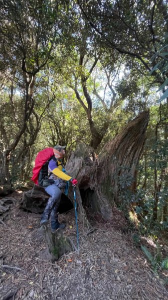 塔魔巴2天1夜來回/復興尖-四稜溫泉2357276