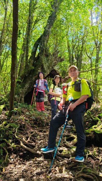 大混李棟山2816355