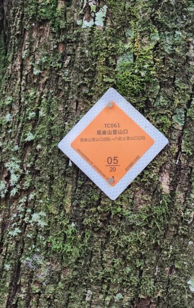 【中級山】五星級步道，谷關七雄馬崙山（八壯士進，斯可巴出）2744983