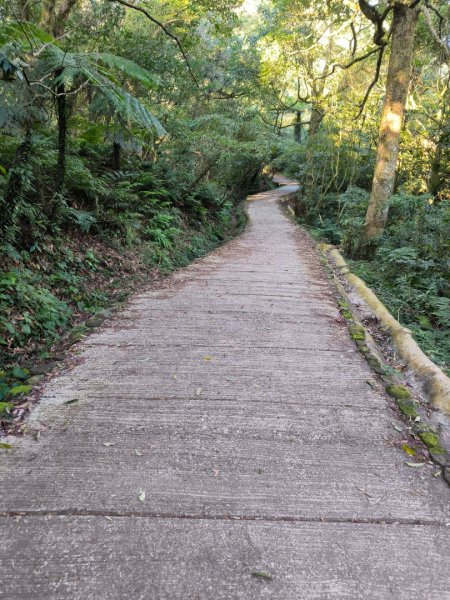 台北大縱走第一段3015744