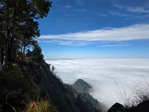 鳶嘴稍來山之楓紅／雲海2974038