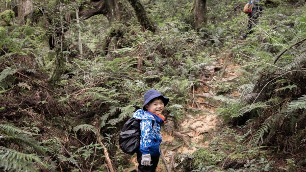 四歲小樂的第八座小百岳-宜蘭三星山978687