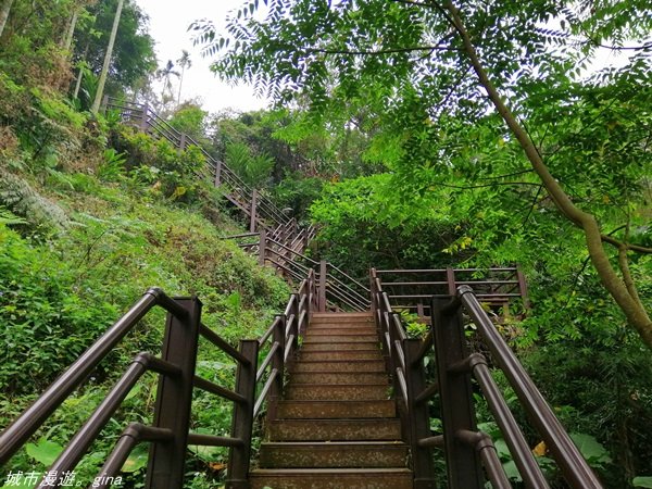 【雲林。古坑】在翠綠的山巒間散散步。 華山小天梯x情人橋1340499