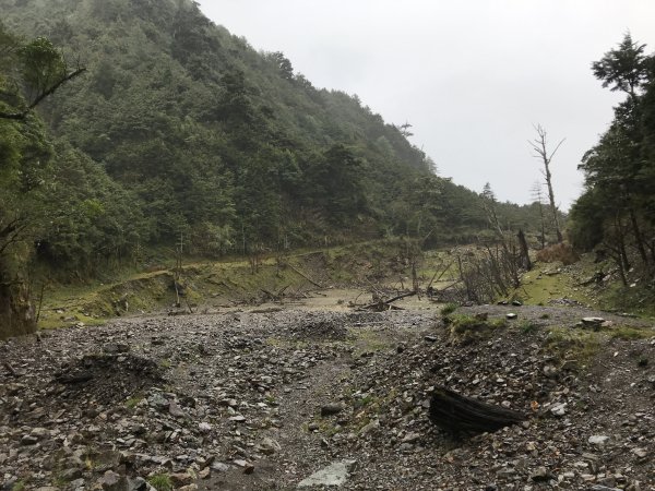 小關山林道走小關山(小關山西稜上，西南稜1178591