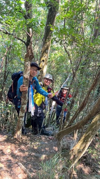 阿冷山 谷關第八雄2877426