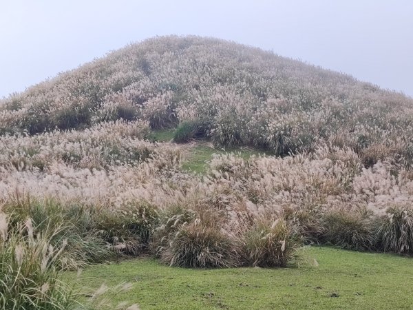 磺嘴山-陽明山國家公園申請路線~12411368