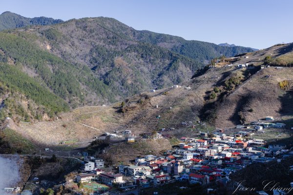 福壽山千櫻園櫻花季初開2717408