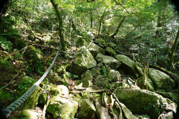 台中 和平 鳶嘴山2926898