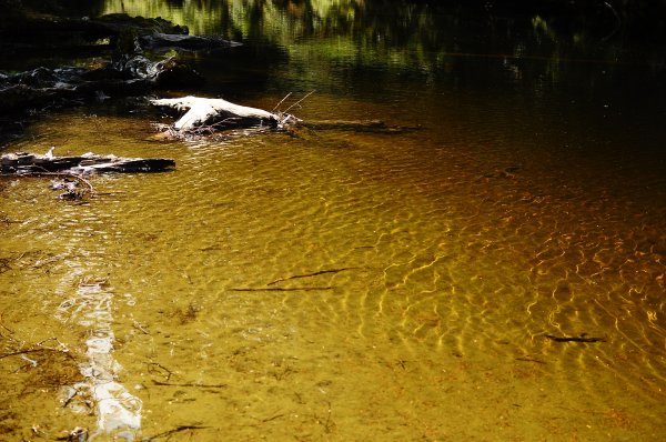 武法奈尾山天巒池872520