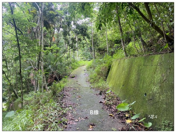 大克山 南稜線A上B下 (卓蘭最高峰)2825501